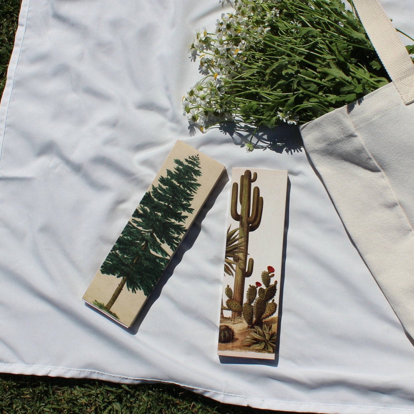 Crafted with sustainability in mind, these elegant matches bring a touch of nature to your home lighting rituals. Made with eco-friendly materials and designed for a long, steady burn, these matches are perfect for lighting candles, fireplaces, or outdoor use. The minimalist design complements any décor while ensuring a clean, efficient light. Ideal for those who appreciate both function and style, these long matches offer a sustainable, thoughtful addition to your home essentials.