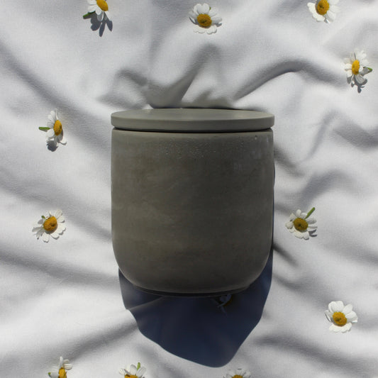A hand-poured, eco-friendly candle featuring a captivating blend of floral jasmine, creamy gardenia, and the fresh, earthy aroma of tomato leaves. Made with sustainable, natural wax for a clean, non-toxic burn, this luxurious candle brings a unique, botanical scent to any space. Perfect for those who appreciate earthy, nature-inspired fragrances, Nightshade is an ideal addition to mindful rituals, cozy evenings, or elegant, natural home decor. 